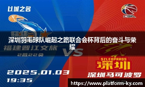 深圳羽毛球队崛起之路联合会杯背后的奋斗与荣耀